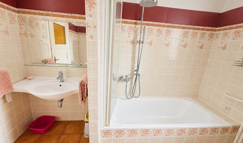 Prodej domu 220 m² s pozemkem 1 017 m², Starý Jičín – náhled fotky 20