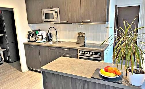 Pronájem bytu 3+kk 61 m², Prodloužená, Pardubice