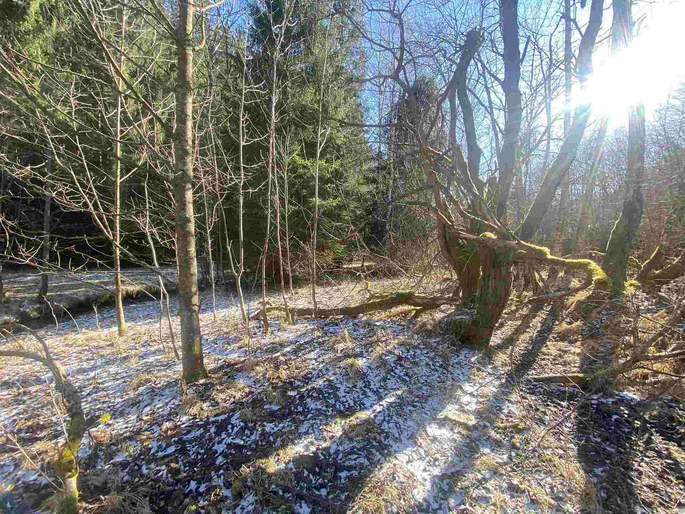 Prodej pole 10 377 m² – fotografie 3