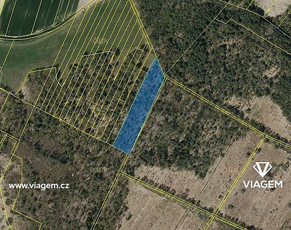 Prodej lesa 8 398 m² – pohled 3
