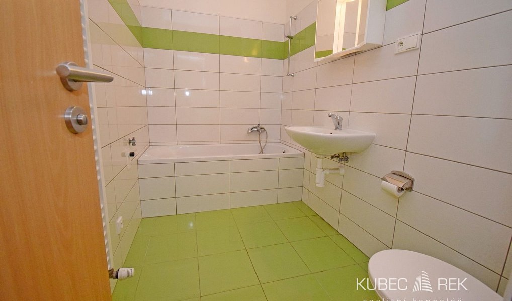 Pronájem bytu 2+kk 76 m², Tábor – náhled fotky 4