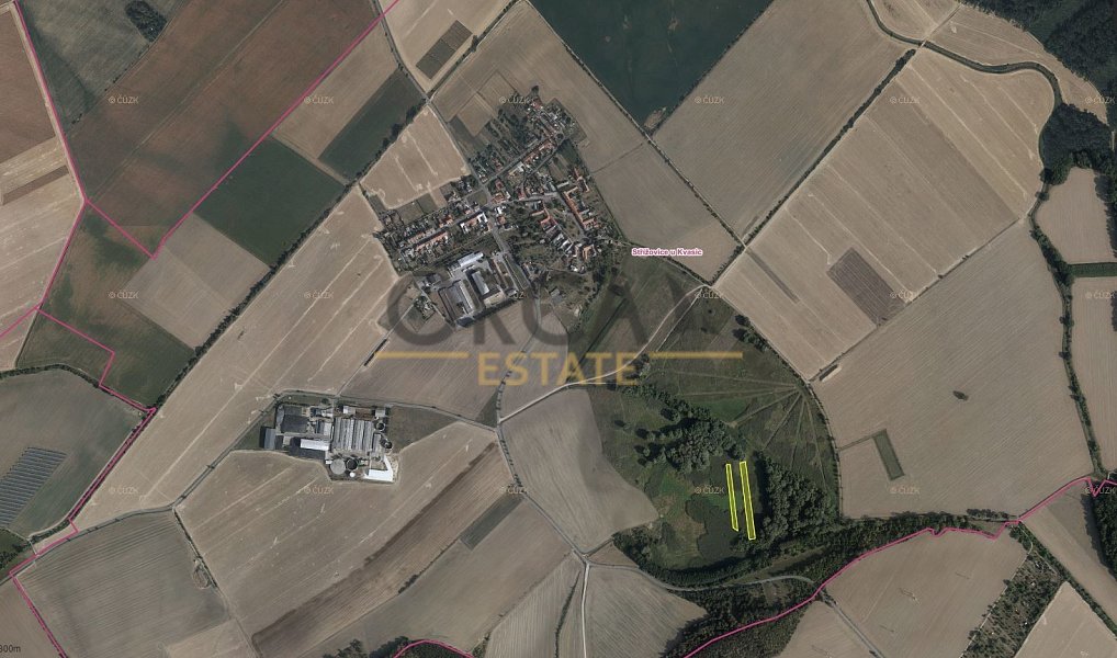 Prodej louky 4 747 m², Střížovice – náhled fotky 2