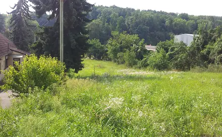 Ostatní