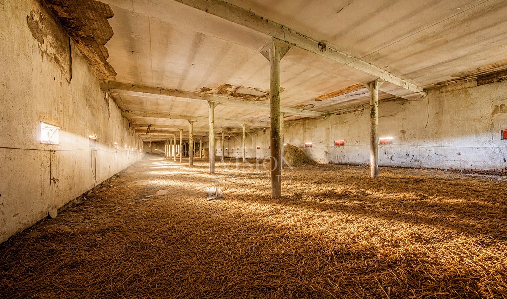 Prodej výrobních prostor 800 m², Radomyšl – náhled fotky 4