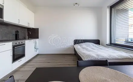 Pronájem bytu 1+kk 33 m², Olgy Havlové, Praha 3 - Žižkov