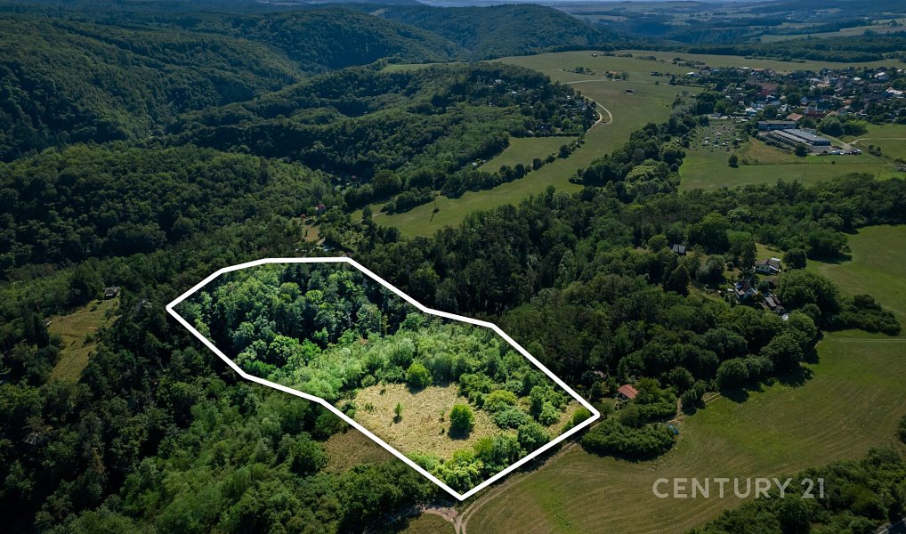 Prodej zahrady 14 196 m², Štěchovice – náhled fotky 2