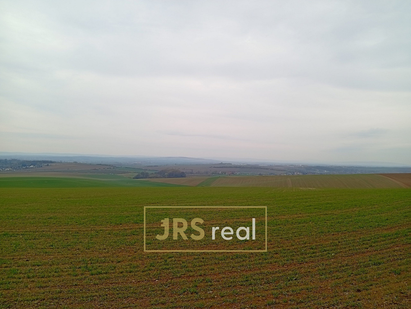 Prodej pole 2 507 m² — photo 2