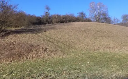 Dražba louky 3 880 m², Tuhaň