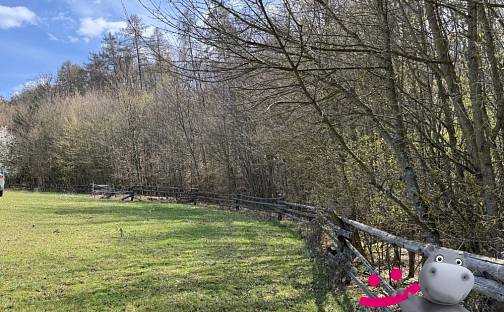 Prodej lesa 3 109 m², Luhačovice, okres Zlín