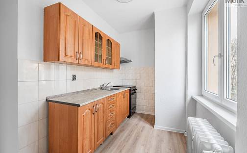 Pronájem bytu 2+1 54 m², Maxe Švabinského, Most