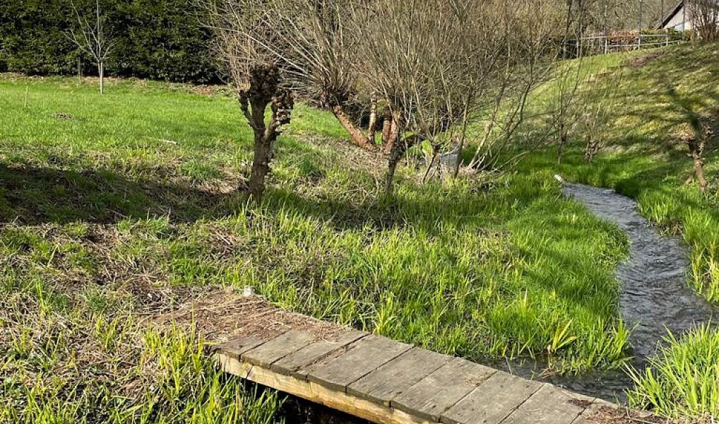 Prodej stavebního pozemku 554 m², Deštné v Orlických horách – náhled fotky 3