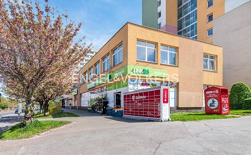 Pronájem kanceláře 36 m², Hartigova, Praha 3 - Žižkov