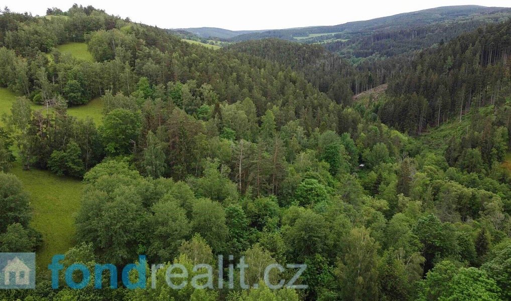 Prodej pozemku 4 999 m², Rejštejn – fotka 1 z 7