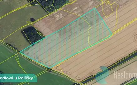 Prodej pole 2 196 m², Jedlová, okres Svitavy