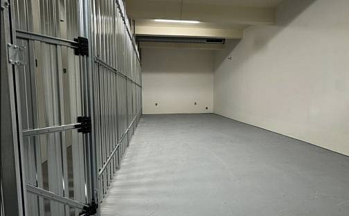 Pronájem komerčního objektu (jiného typu) 33 m², Praha