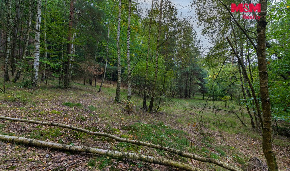 Prodej pole 51 974 m², Blíževedly – náhled fotky 5