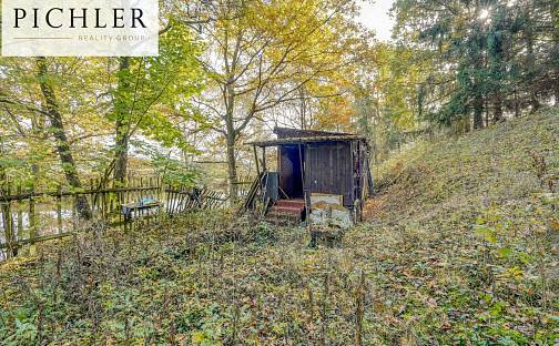 Prodej chaty/chalupy 15 m² s pozemkem 769 m², Žákava, okres Plzeň-Jih