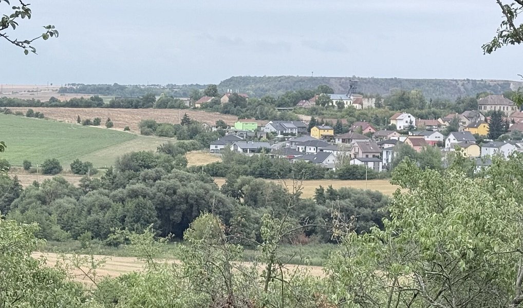 Prodej zahrady 464 m², Brandýsek – náhled fotky 7