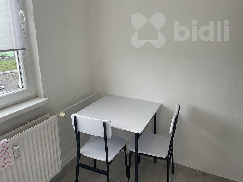Pronájem bytu 1+1 39 m² – fotografie 4