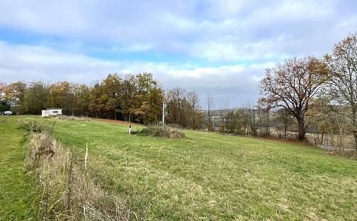 Prodej stavebního pozemku 3 905 m², Neveklov - Dalešice, okres Benešov