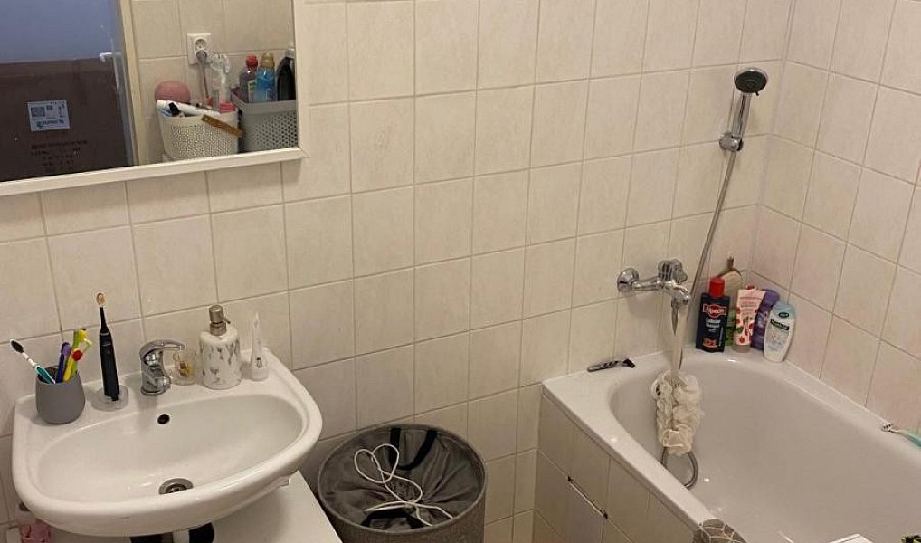 Pronájem bytu 2+kk 75 m², Lubenec – náhled fotky 11