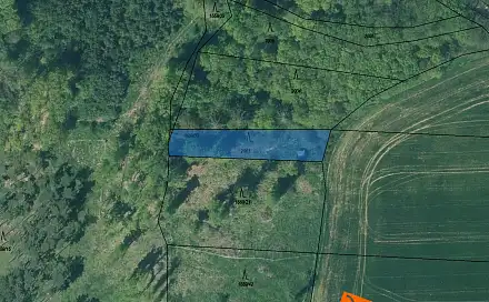 Prodej lesa 296 m², Břasy, okres Rokycany