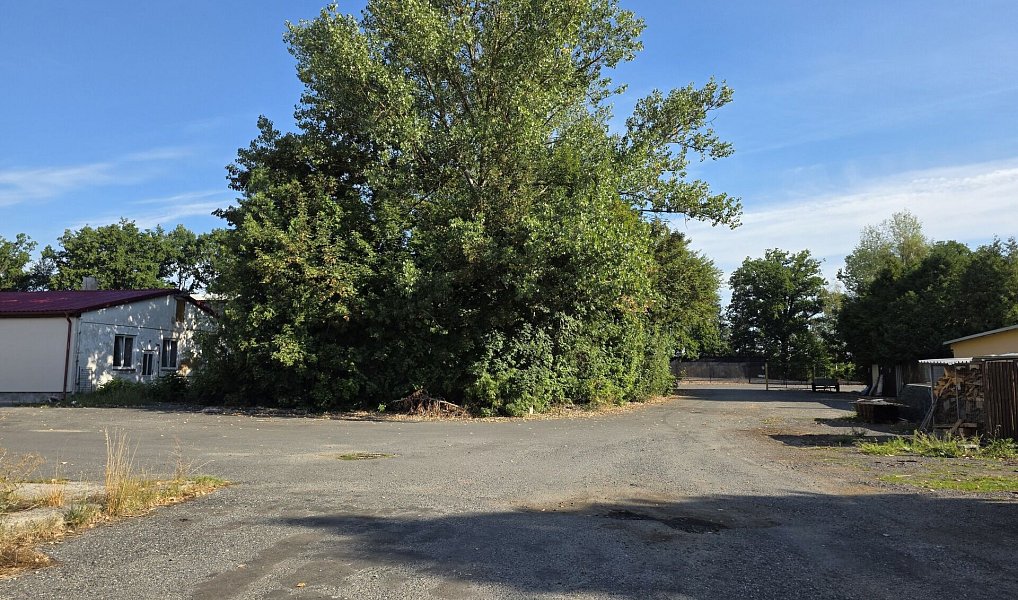 Pronájem skladovacích prostor 665 m², Tochovice – náhled fotky 13