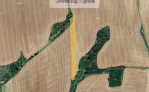 Prodej pole 5 441 m², Zborovice - Medlov, okres Kroměříž