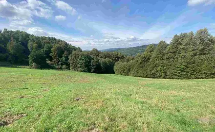 Prodej pozemku 10 593 m², Sobotín, okres Šumperk