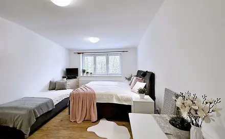 Prodej bytu 1+kk 26 m², Lipno nad Vltavou, okres Český Krumlov