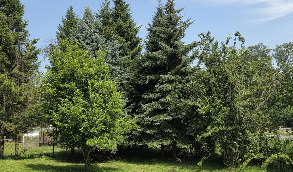 Prodej domu 124 m², Ostravice – náhled fotky 13