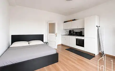 Pronájem bytu 1+kk 30 m²