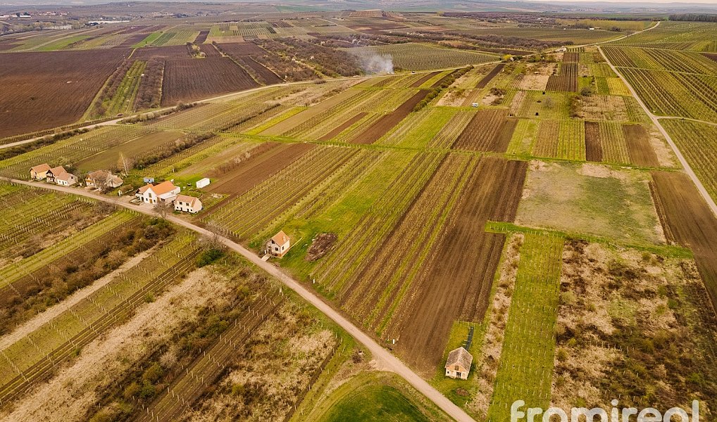 Prodej stavebního pozemku 3 646 m², Moravský Žižkov – náhled fotky 7