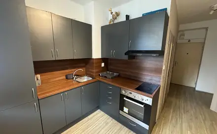 Prodej bytu 1+1 38 m², Marie Pujmanové, Most
