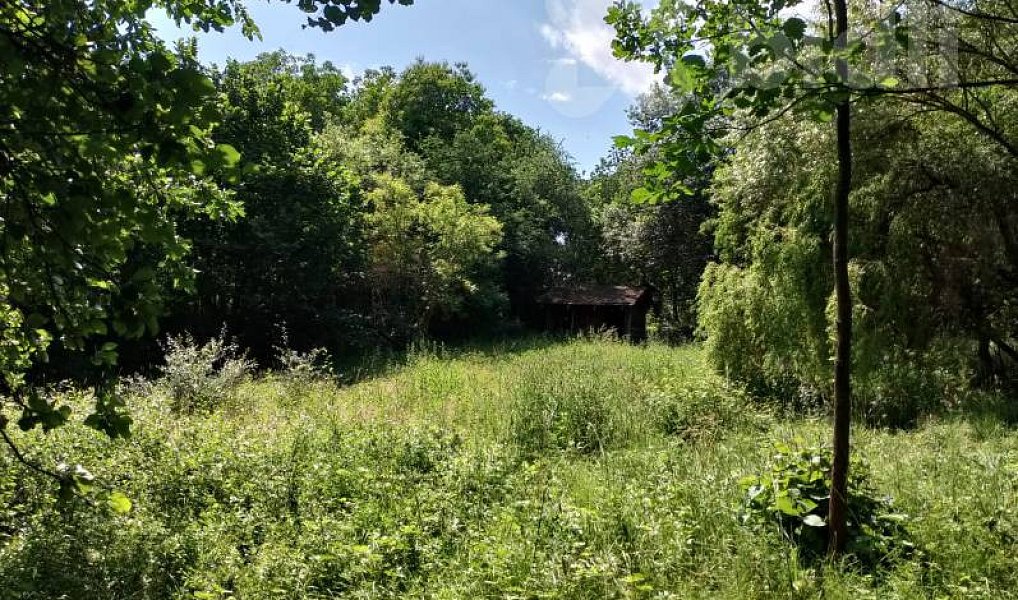Prodej zahrady 829 m², Puclice – náhled fotky 2