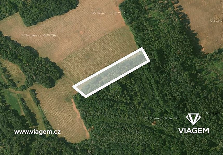 Prodej pole 4 004 m²