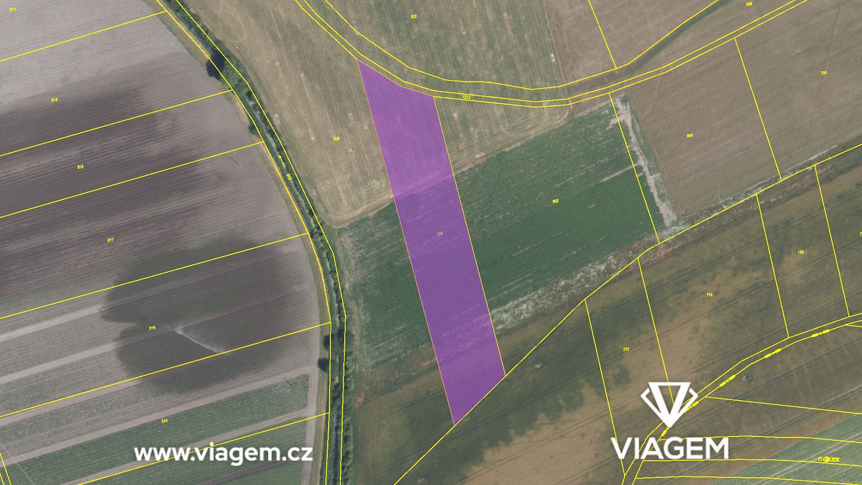 Prodej pole 5 998 m² – fotografie 4