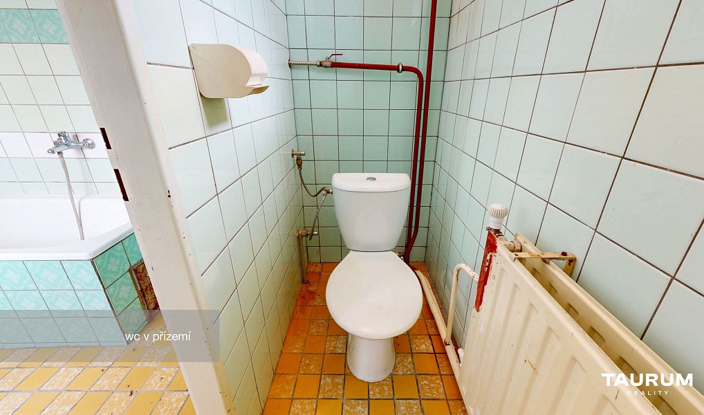 Prodej domu 186 m² s pozemkem 1 028 m², Bělá nad Radbuzou – náhled fotky 13