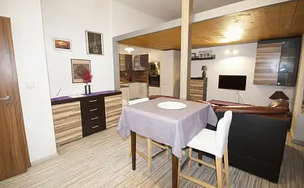 Pronájem bytu 1+kk 47 m²