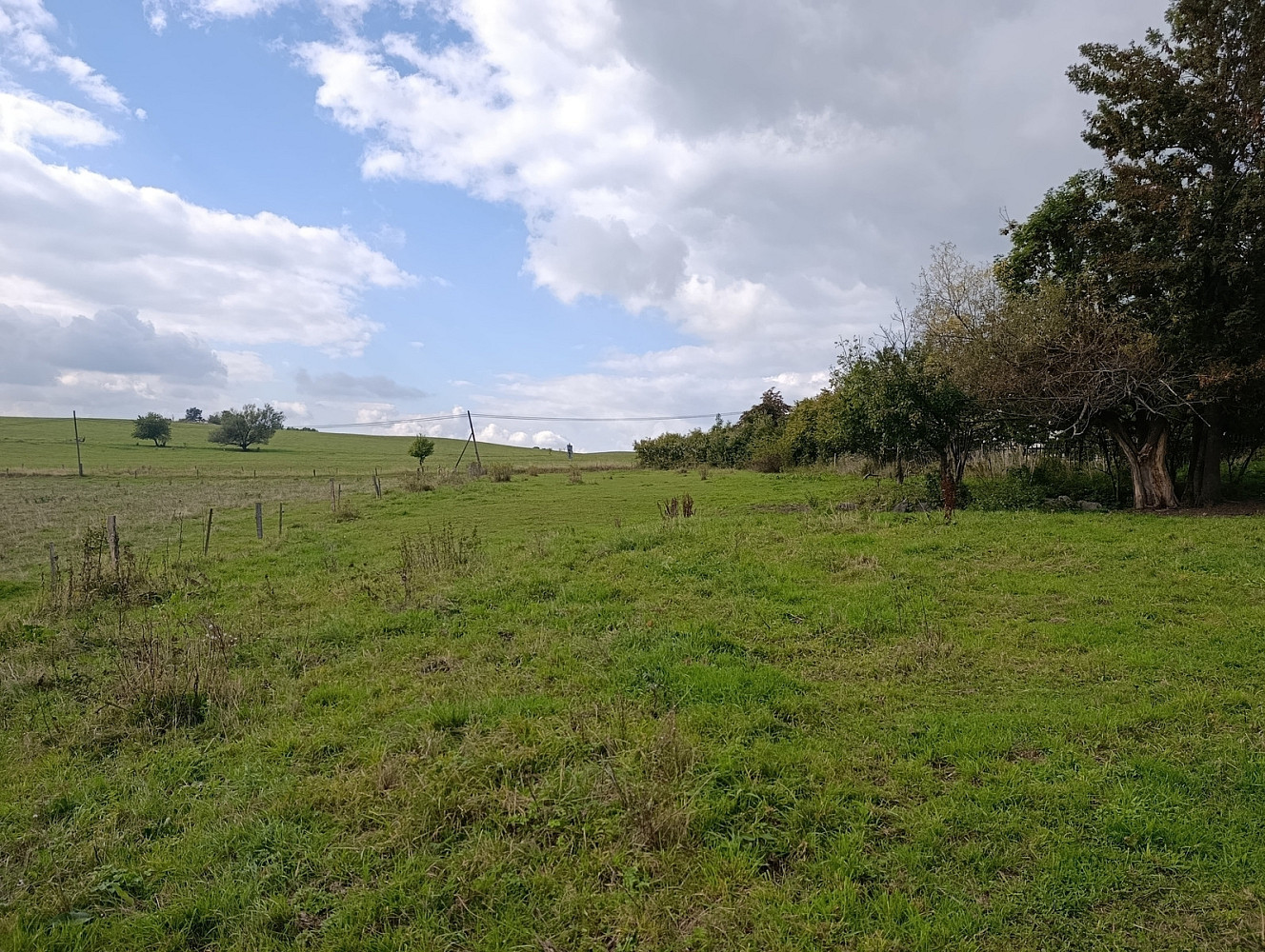 Prodej stavebního pozemku 3 539 m² – fotografie 4