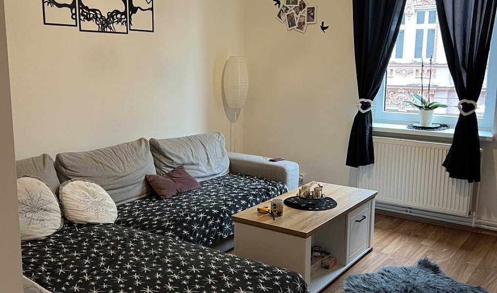 Pronájem bytu 2+kk 55 m², Plzeň – náhled fotky 6