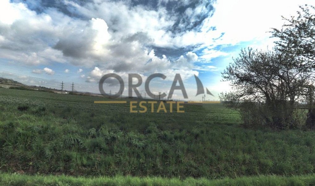 Prodej lesa 4 100 m², Suchdol nad Odrou – náhled fotky 3