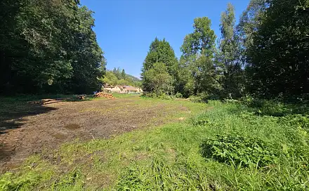 Prodej louky 1 981 m², Podlesí, Letovice, okres Blansko