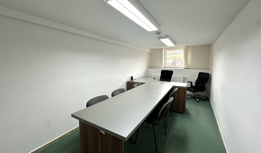 Prodej obchodních prostor 1 076 m², Lutonina – náhled fotky 12