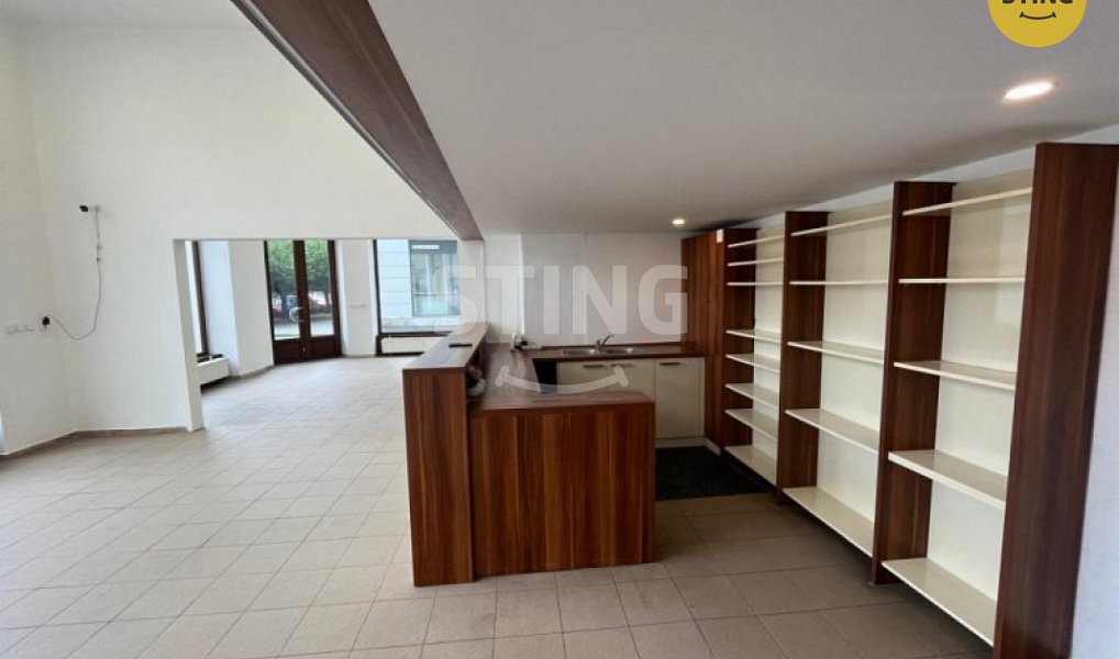 Pronájem obchodních prostor 115 m², Ostrava – náhled fotky 7
