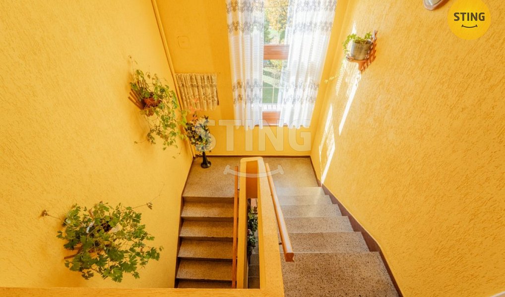 Prodej domu 410 m² s pozemkem 3 700 m², Holasovice – náhled fotky 16