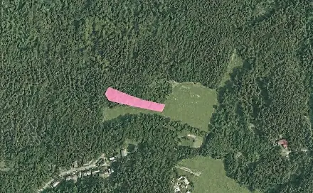 Prodej louky 3 244 m², Boseň, okres Mladá Boleslav