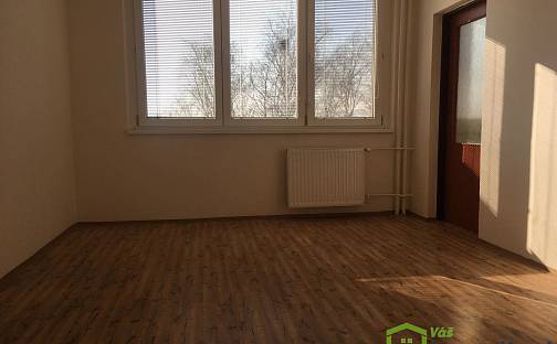 Pronájem bytu 1+1 45 m², Plzeňská, Ostrava - Zábřeh