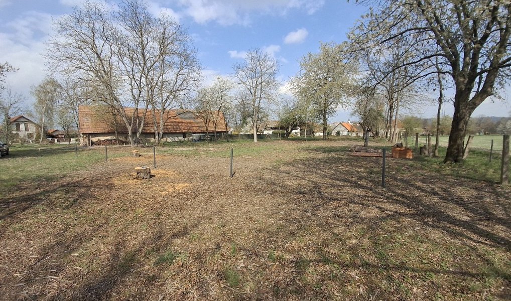 Prodej stavebního pozemku 2 666 m², Jenišovice – náhled fotky 2