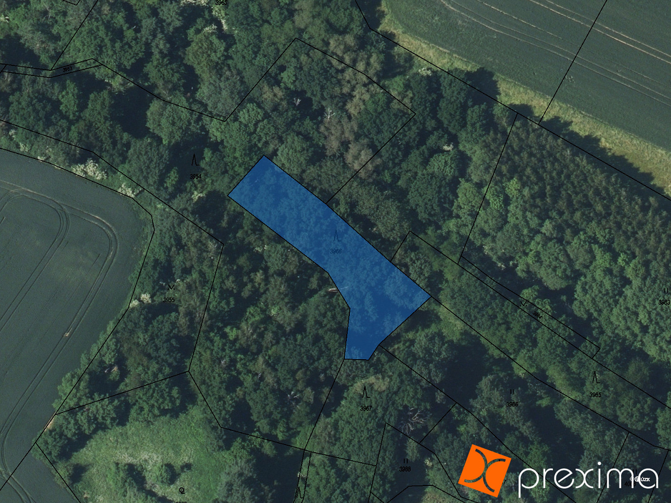 Prodej lesa 357 m²